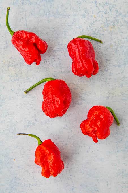 Fresh Red Carolina Reaper Peppers Approximately 1,400,000–2,200,000 SHU Scoville Range - Image 3