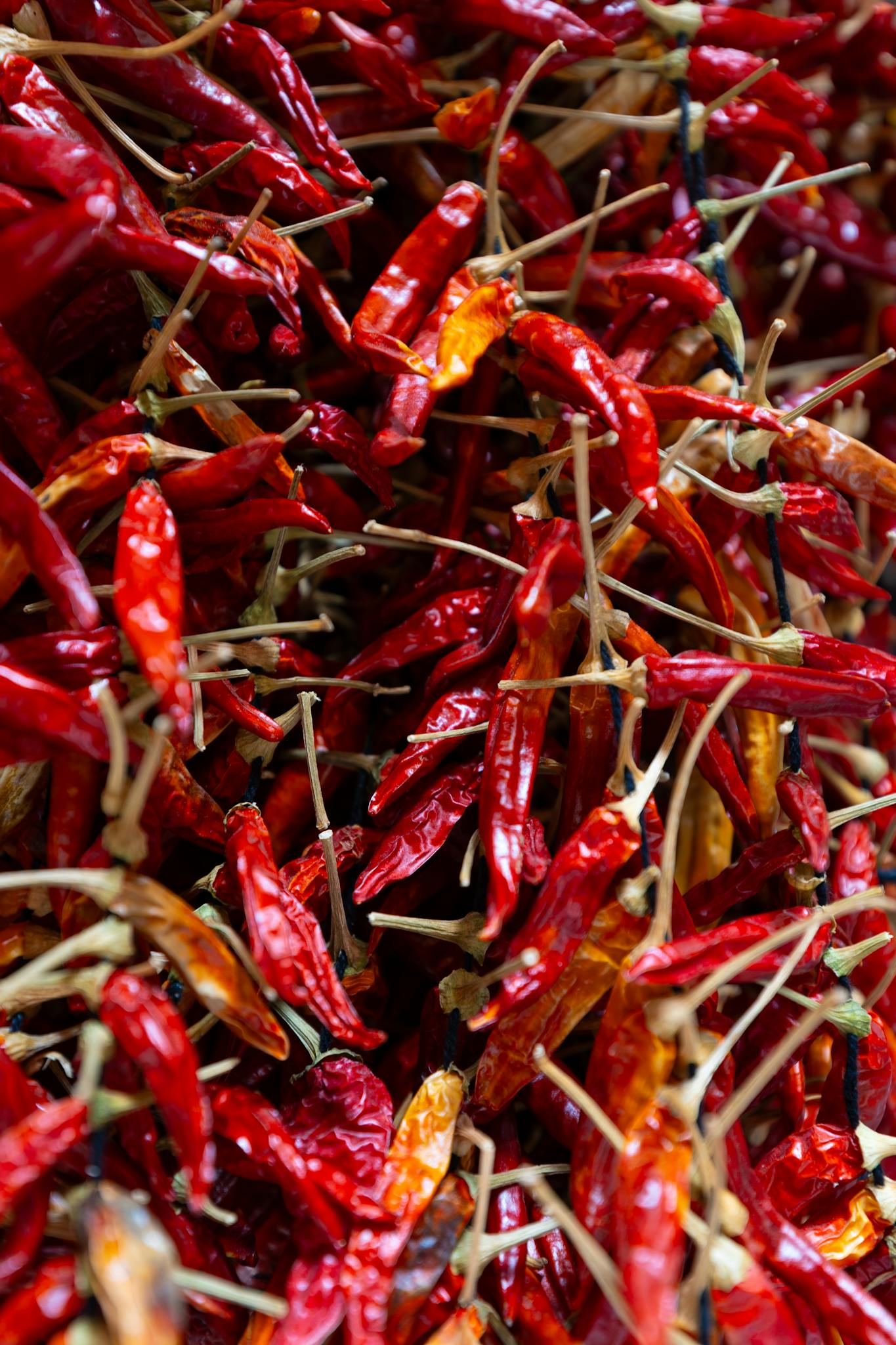 A close-up view of vibrant red dried chili peppers, showcasing texture and color.