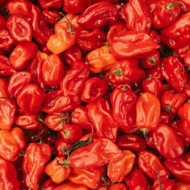 A vibrant flat lay of spicy red chili peppers with glossy texture, showcasing their abundance and intense color.