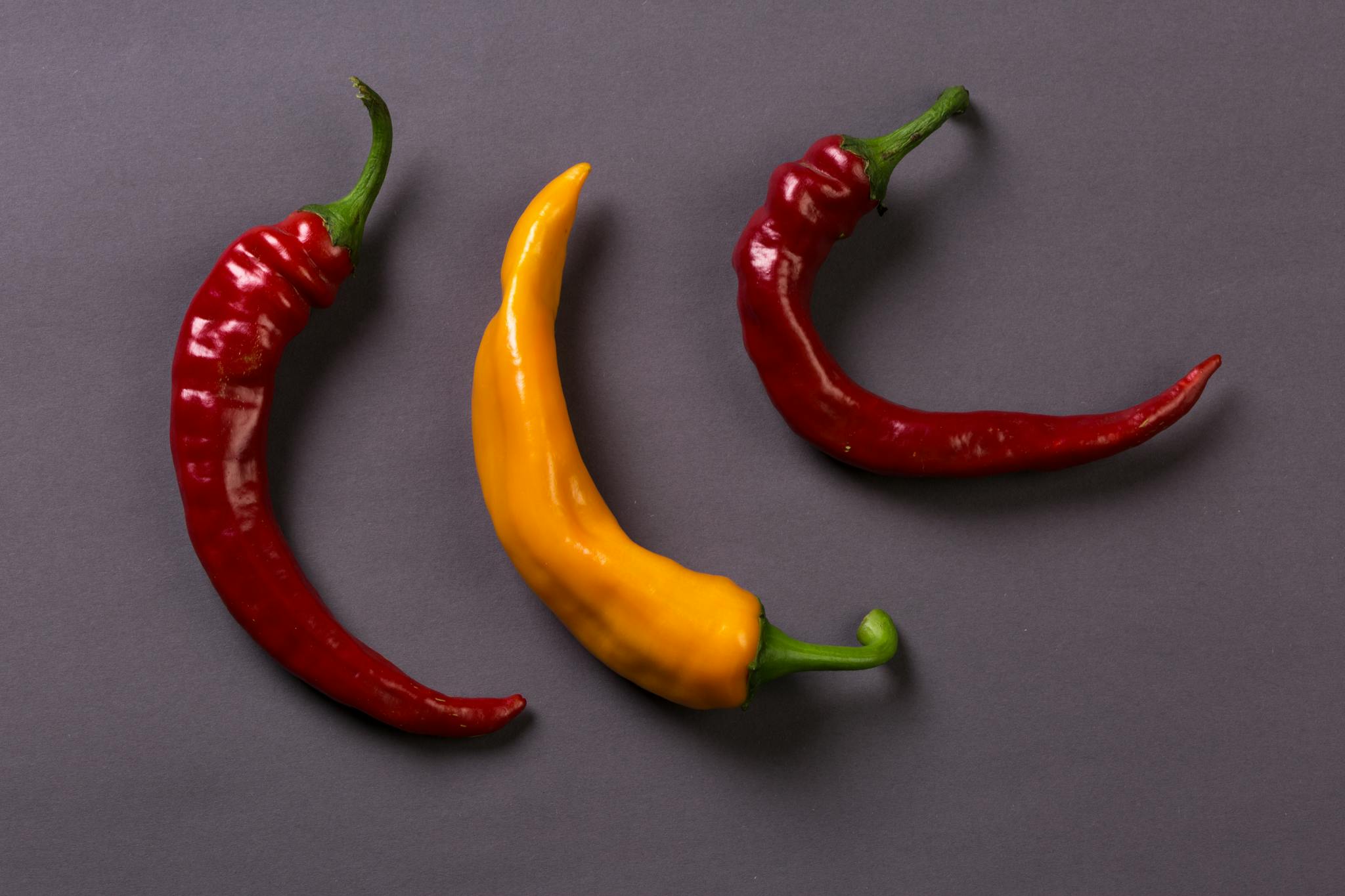 Colorful red and yellow peppers on a dark gray backdrop, showcasing variety and freshness.